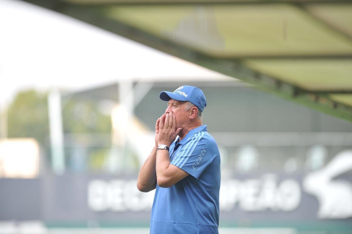 Adilson Batista e Luiz Felipe Scolari se enfrentaram pela quarta vez na histria, como tcnicos, e viram Amrica e Palmeiras empatar por 0 a 0, no Independncia. Veja as reaes dos dois comandantes