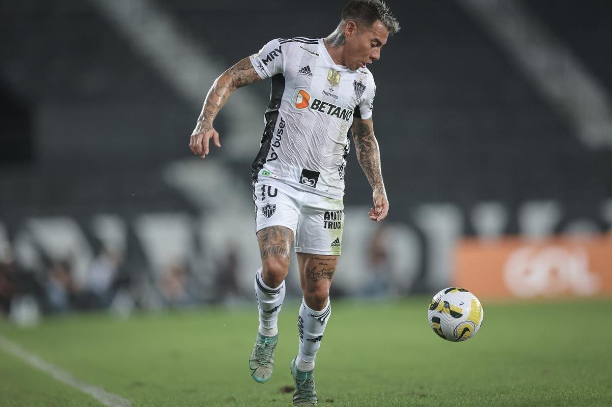 Botafogo x Atltico: veja fotos do jogo no Nilton Santos