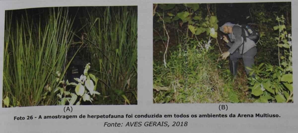 Imagens do projeto da Arena MRV, o estdio do Atltico, apresentadas  PBH e ao estado