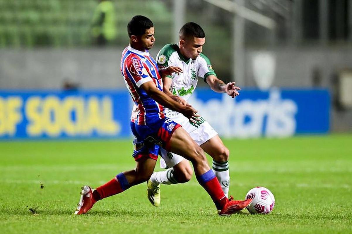Veja as fotos do confronto entre Amrica e Bahia, no estdio Independncia, em BH, pela 27 rodada do Campeonato Brasileiro.