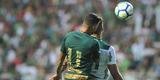 Imagens da partida entre Am�rica e Palmeiras, no Independ�ncia, pela 17� rodada do Campeonato Brasileiro 