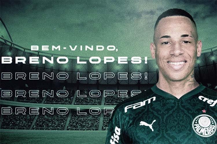 (Foto: Divulga��o/Palmeiras)