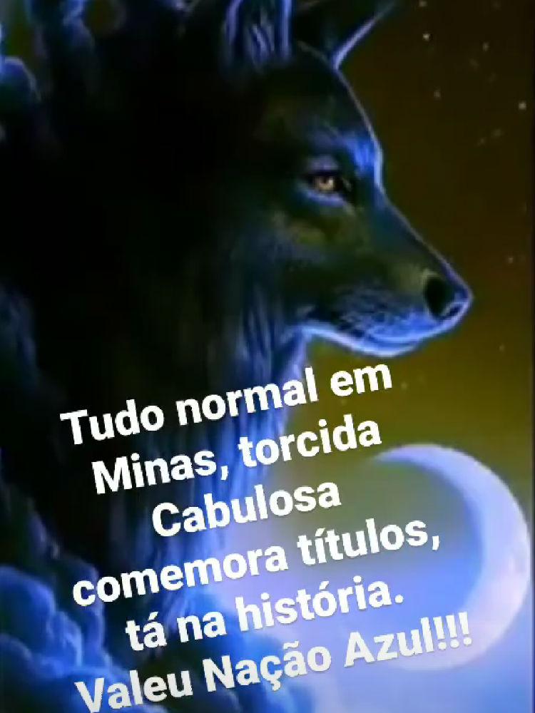 Provocado por atleticanos, Fábio, do Cruzeiro, responde: 'Torcida cabulosa  comemora títulos' - Superesportes