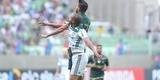 Imagens da partida entre Am�rica e Palmeiras, no Independ�ncia, pela 17� rodada do Campeonato Brasileiro 