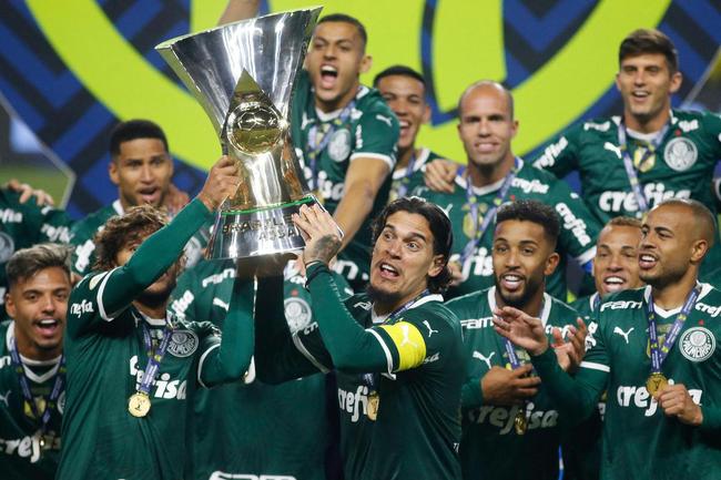 Palmeiras (Brasil) - vaga na fase de grupos