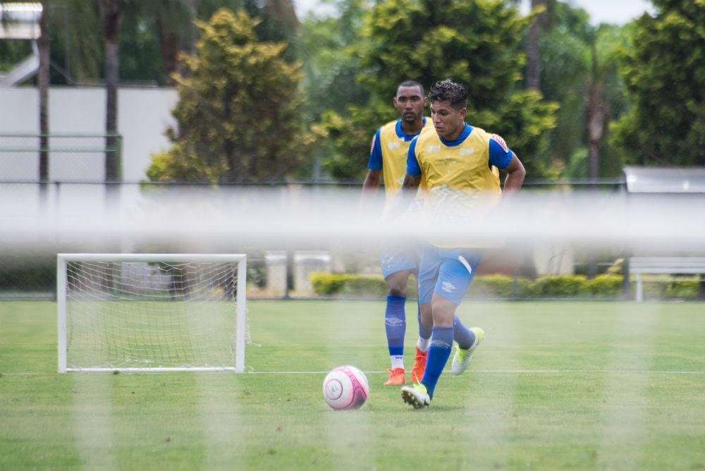 A manh de domingo foi de trabalho intenso na Toca da Raposa II
