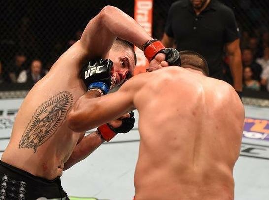 Fotos da vitória arrasadora de Fabrício Werdum sobre Cain Velasquez