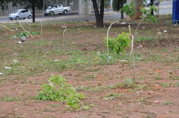 Faces organizadas Mfia Azul e Pavilho Independente se digladiaram fora do Mineiro e festa pelo tricampeonato foi cancelada