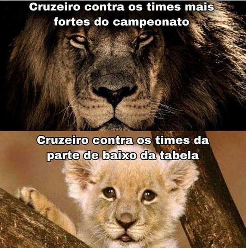 Vitria do Cruzeiro e polmica arbitragem: os memes do clssico pela Srie B