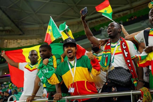 Fotos dos torcedores de Senegal e Holanda durante jogo pelo Grupo A da Copa do Mundo.