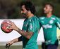 Palmeiras usa jogo contra o Ituano como ajuste para estreia na Copa Libertadores