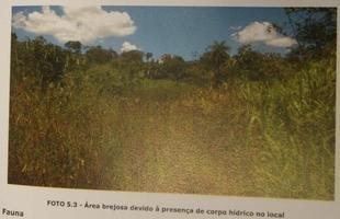 Imagens do projeto da Arena MRV, o est�dio do Atl�tico, apresentadas � PBH e ao estado