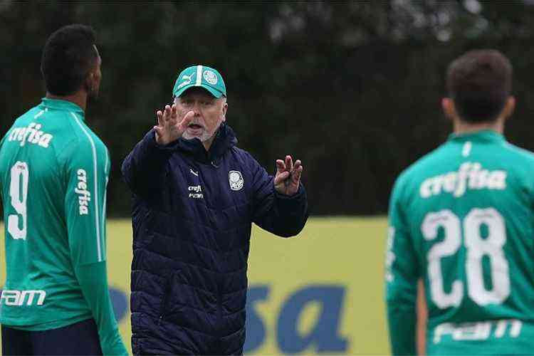 <i>(Foto: Cesar Greco/Ag. Palmeiras/Divulgao)</i>