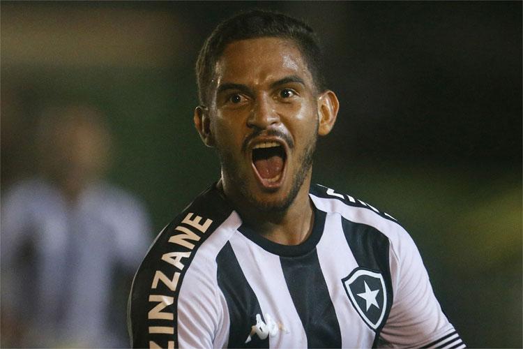 (Foto: Divulgação/Botafogo) (Foto: Divulgação/Botafogo)