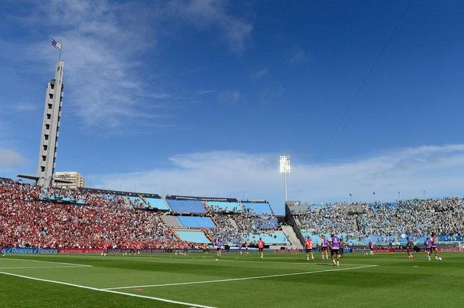 Festa das torcidas de Flamengo e Palmeiras na final da Libertadores
