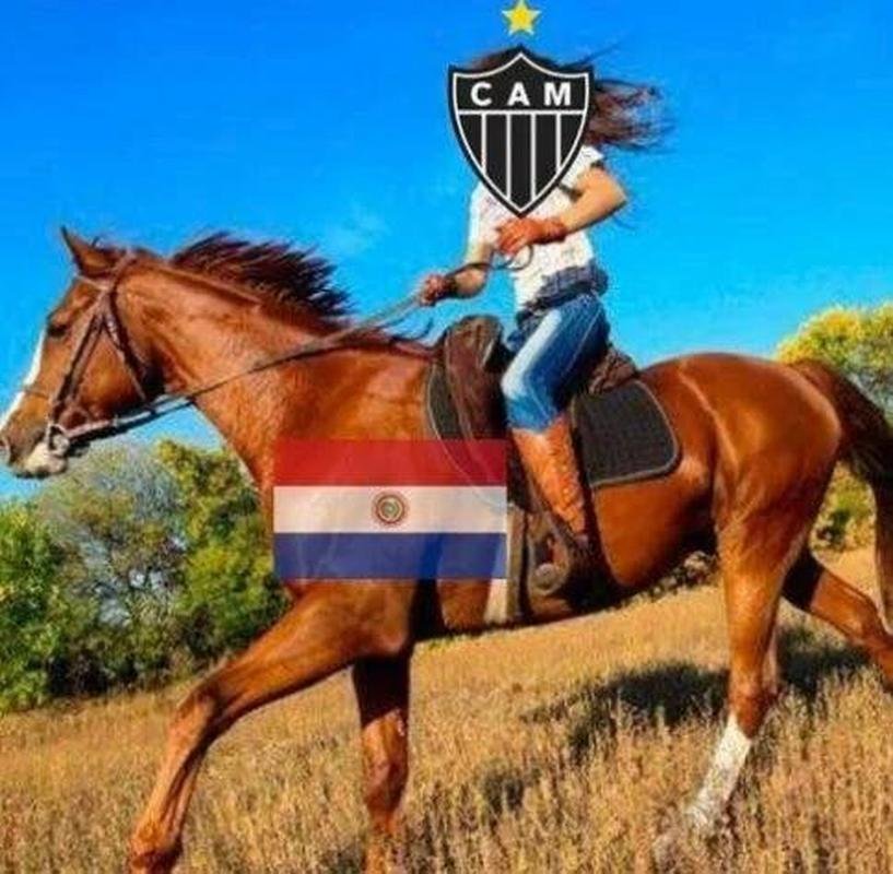 A internet no perdoou a eliminao do Atltico para o Palmeiras nas quartas de final da Libertadores