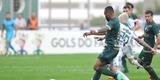 Imagens da partida entre Am�rica e Palmeiras, no Independ�ncia, pela 17� rodada do Campeonato Brasileiro 