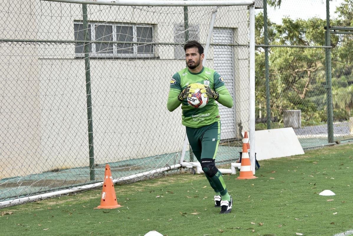 O grupo principal do Amrica, que encerrou a disputa da Srie B no dia 29 de janeiro, se reapresentou na tarde desta segunda-feira (15), no CT Lanna Drumond, em Belo Horizonte. Sob superviso do tcnico Lisca, os atletas treinaram e deram incio  pr-temporada 2021.