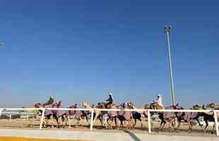  Corrida de camelos  esporte tradicional no Catar, pas que sedia a Copa do Mundo de futebol