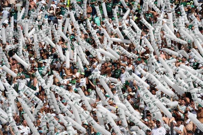 Torcida do Palmeiras na final da Libertadores