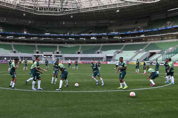 (Foto: Cesar Greco/Palmeiras)