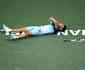 Thiem surpreende Federer, vence de virada e fatura ttulo indito em Indian Wells