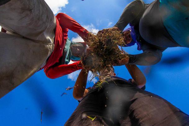 Enquanto aguarda a definição de quem será o treinador para iniciar montagem do elenco, Santa Cruz investe na reforma do gramado de seu estádio para receber as partidas da temporada 2020