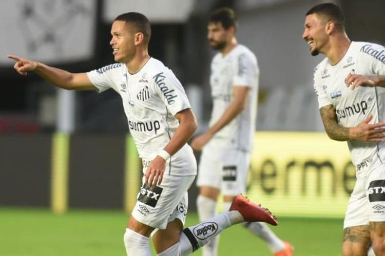 (Foto: Santos/divulgação) (Foto: Santos/divulgação)