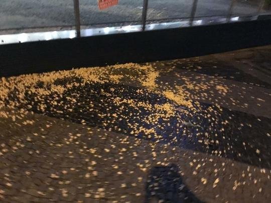 Imagens do protesto da torcida do Atltico na sede de Lourdes