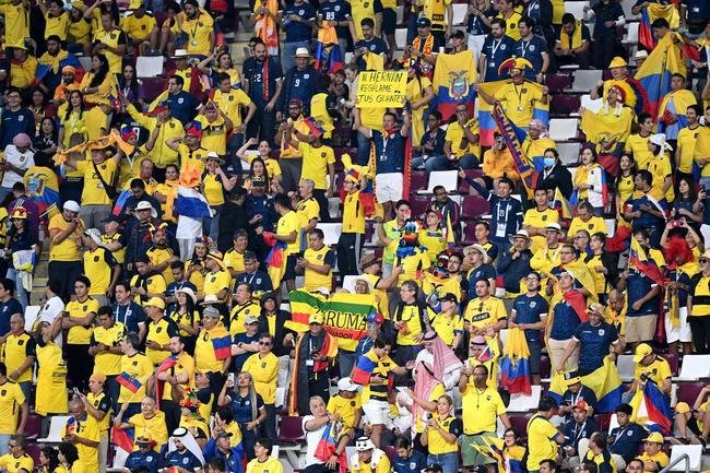 Torcedores de Holanda e Equador no jogo pelo Grupo A da Copa do Mundo.