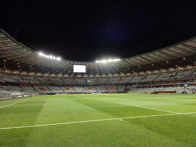 Fotos da torcida do Atltico no pr-jogo contra o Palmeiras no Mineiro