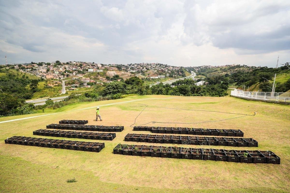 Atltico lanou, nesta quarta-feira, o projeto EcoGalo