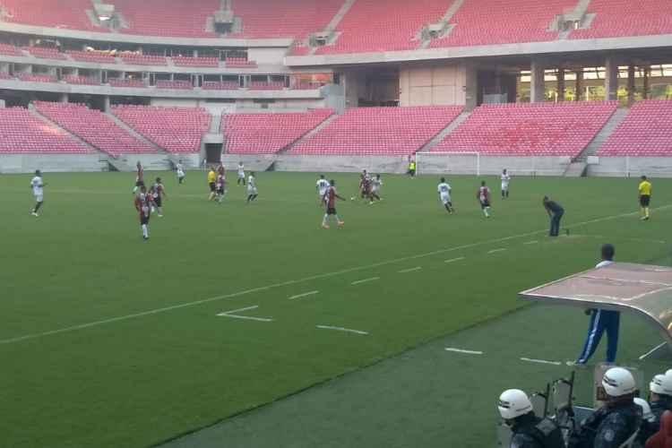 <i>(Foto: Ibismania/Divulgao)</i>