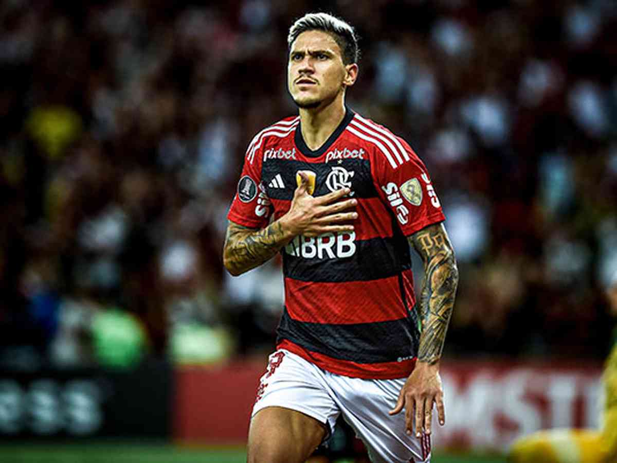 Flamengo e seus jogos: Os 38 times da Copa Libertadores 2014