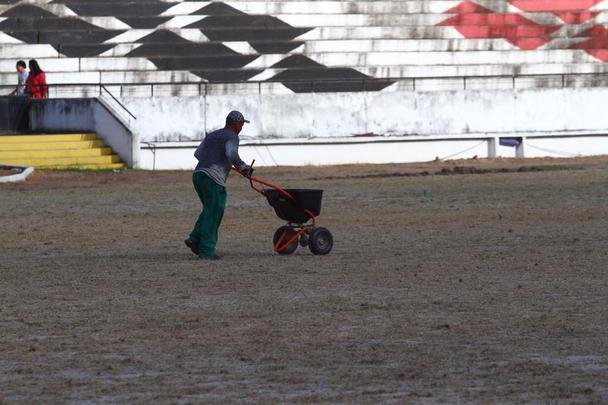 Grama nova foi plantada no último mês, em novembro, e já brotou, mas a aparência, até o momento, é de folhas ainda secas