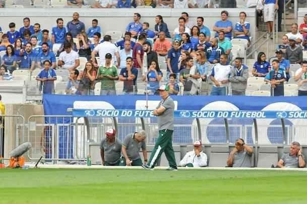 Fotos de Cruzeiro x Fluminense, no Mineiro, pela 34 rodada do Brasileiro (Rodrigo Clemente/EM D.A Press)