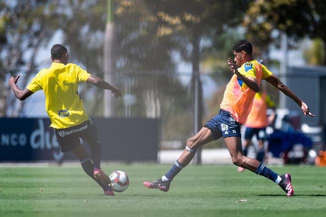 Fotos do treino do Cruzeiro desta quarta-feira (25/8)