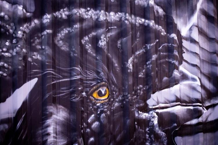 Grafites da Arena MRV ganham cores