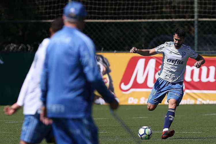 Cesar Greco/Palmeiras