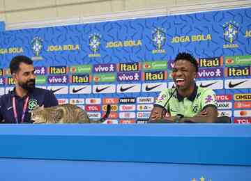 Atacante respondia sobre responsabilidade na Seleção Brasileira durante a Copa do Mundo do Catar quando felino subiu na mesa de coletiva
