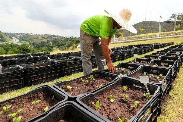 Atlético lançou, nesta quarta-feira, o projeto EcoGalo