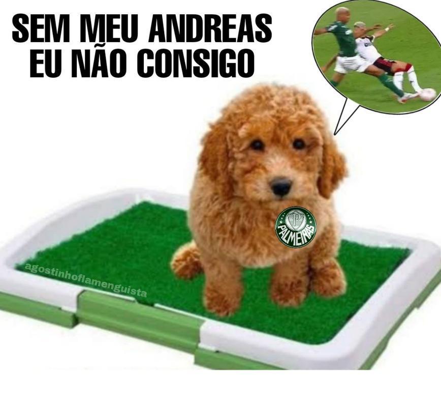 Veja os memes da derrota do Palmeiras para o Chelsea, por 2 a 1, na final do Mundial de Clubes
