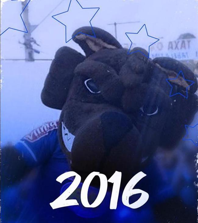 Raposão em 2016