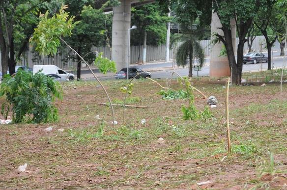 Faces organizadas Mfia Azul e Pavilho Independente se digladiaram fora do Mineiro e festa pelo tricampeonato foi cancelada