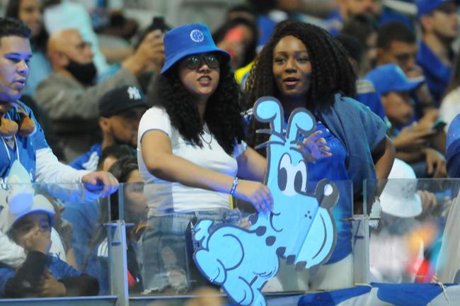 Fotos da torcida do Cruzeiro na partida de volta das oitavas de final da Copa do Brasil, contra o Fluminense, no Mineiro (Juarez Rodrigues/EM/DAPress)