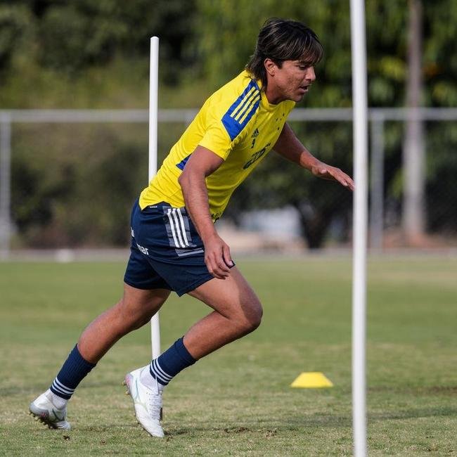 Comisso tcnica de Vanderlei Luxemburgo comandou treino na Toca da Raposa II nesta quarta-feira. Time se prepara para enfrentar o Brusque, s 11h de sbado, no estdio Augusto Bauer, em Santa Catarina, pela 16 rodada da Srie B.