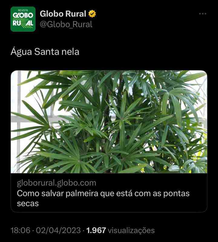 Imagens Para Zuar O Palmeiras No Facebook E Whatsapp  Palmeiras piada,  Piadas, Piadas engraçadas para whatsapp