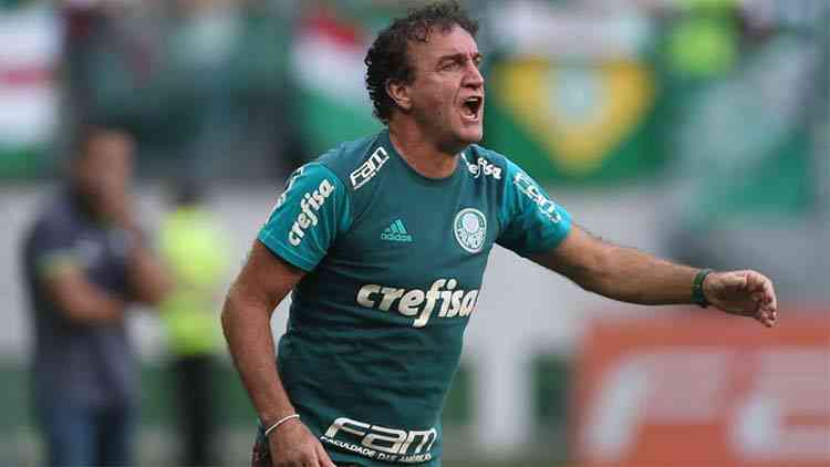 Cesar Greco/Palmeiras