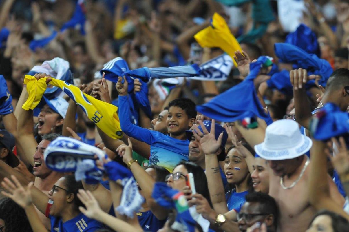 Fotos da torcida do Cruzeiro durante a partida contra o Operrio-PR, no Mineiro, pela 29 rodada da Srie B