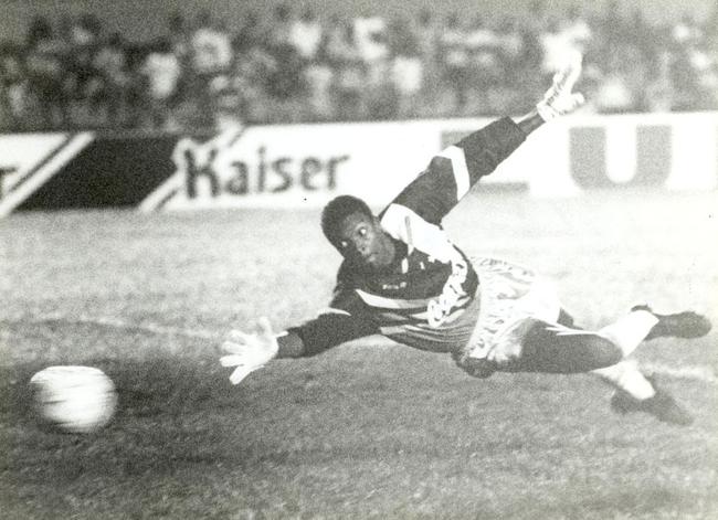 Dida  um dos goleiros inesquecveis do Cruzeiro e foi fundamental em conquistas da Copa do Brasil de 1996 e da Copa Libertadores de 1997 com defesas espetaculares. Ao todo, fez 306 partidas com a camisa azul e ainda venceu os Mineiros de 1994, 1996, 1997, 1998, a Copa Ouro e a Copa Master, ambos em 1995. 

